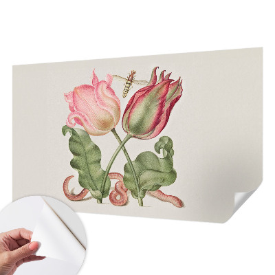 Peel and stick wall mural featuring a tulip beauty design