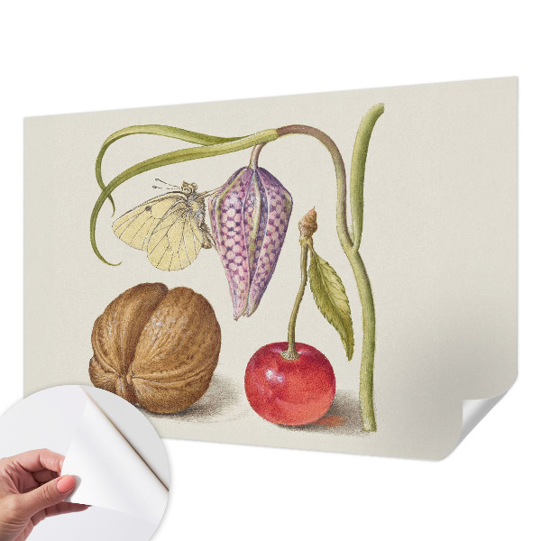 Self-adhesive photo wallpaper with a butterfly and plant motif