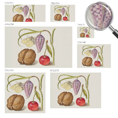 Self-adhesive photo wallpaper Butterfly plant