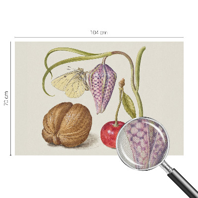 Self-adhesive photo wallpaper with a butterfly and plant motif