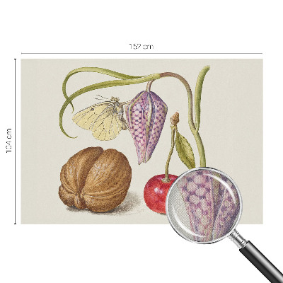 Self-adhesive photo wallpaper with a butterfly and plant motif