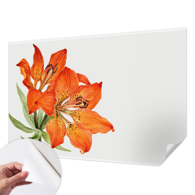 Stick-on wall mural Orange lily