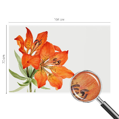 Stick-on wall mural Orange lily