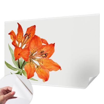 Stick-on wall mural Orange lily