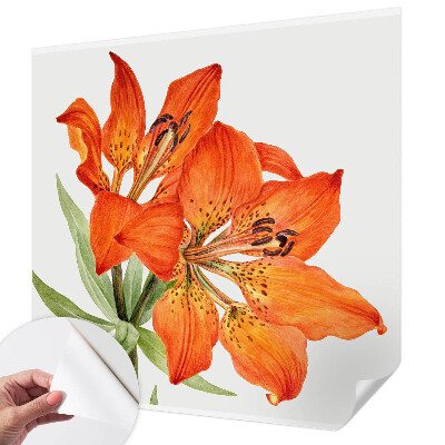 Stick-on wall mural Orange lily