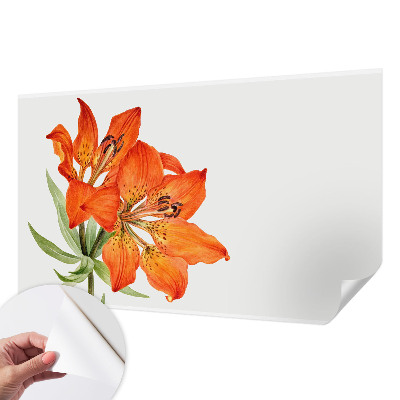 Stick-on wall mural Orange lily