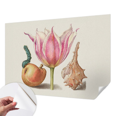 Removable wall mural with the 
