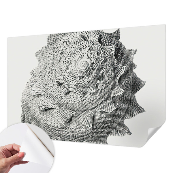 Nursery wall mural The art of nature