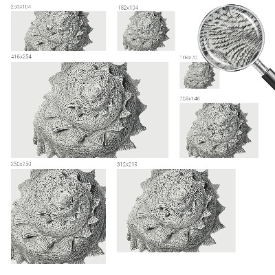 Nursery wall mural The art of nature