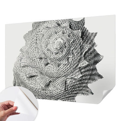 Nursery wall mural The art of nature