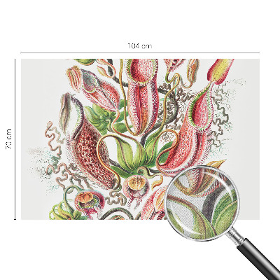 Children's wall mural with plant details