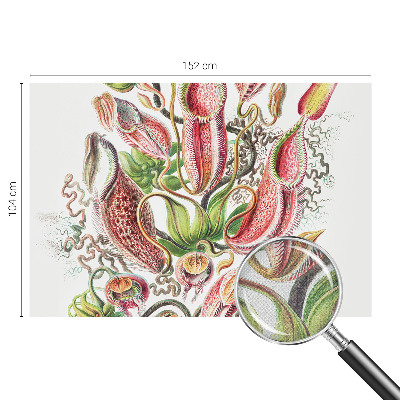 Children's wall mural Plant details