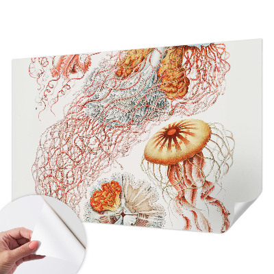 Peel and stick wall mural with a fancy jellyfish design