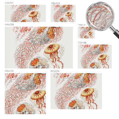 Peel and stick wall mural Fancy jellyfish