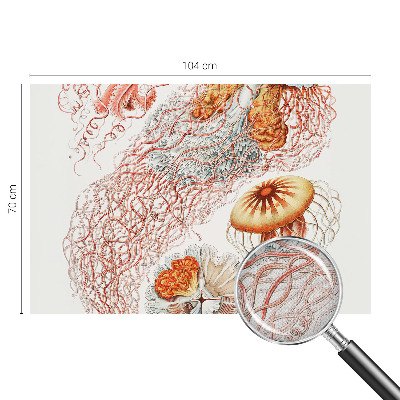 Peel and stick wall mural Fancy jellyfish