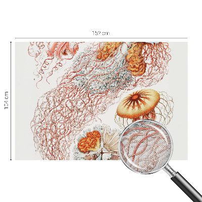 Peel and stick wall mural Fancy jellyfish