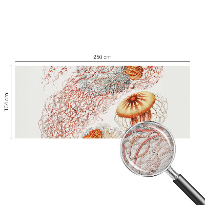Peel and stick wall mural Fancy jellyfish