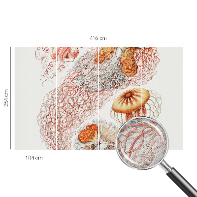 Peel and stick wall mural Fancy jellyfish