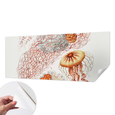 Peel and stick wall mural with a fancy jellyfish design
