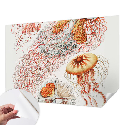 Peel and stick wall mural with a fancy jellyfish design