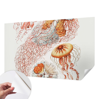 Peel and stick wall mural Fancy jellyfish