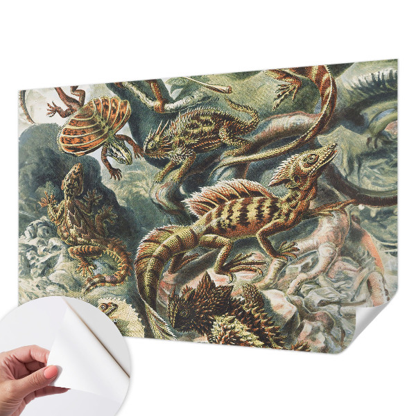 Baby room wall mural with an exotic reptiles design