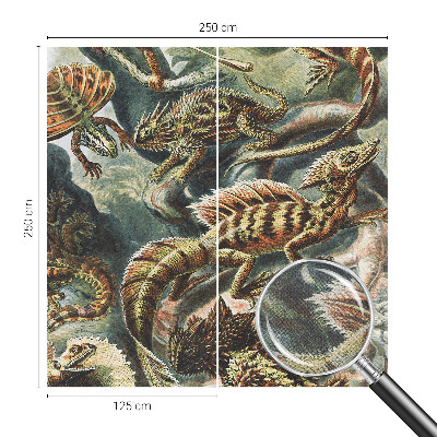 Baby room wall mural with an exotic reptiles design