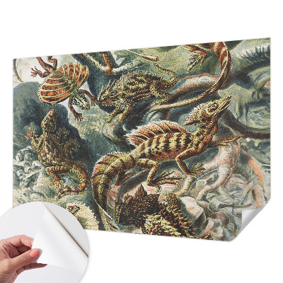 Baby room wall mural with an exotic reptiles design