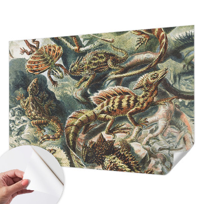 Baby room wall mural with an exotic reptiles design