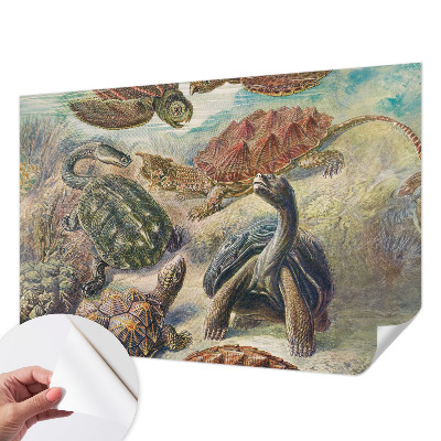 Self-adhesive wall mural with a turtle fauna motif