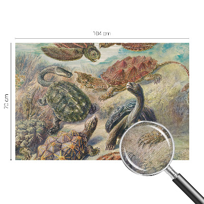 Self-adhesive wall mural with a turtle fauna motif