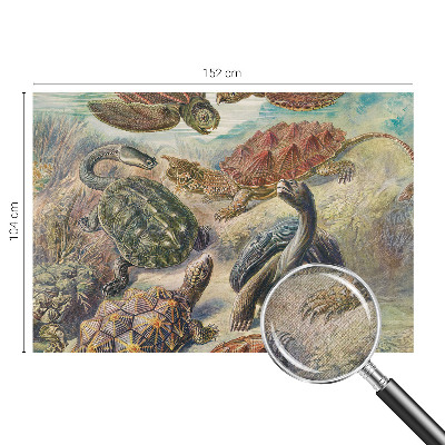 Self-adhesive wall mural with a turtle fauna motif
