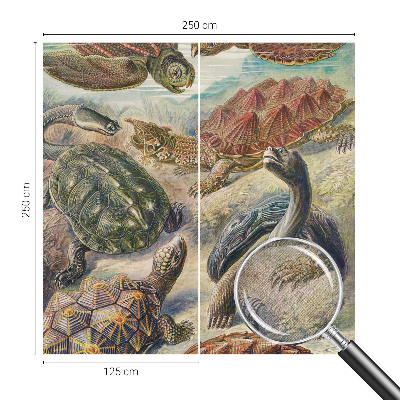 Self-adhesive wall mural with a turtle fauna motif