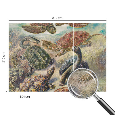 Self-adhesive wall mural with a turtle fauna motif