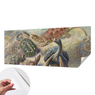Self-adhesive wall mural with a turtle fauna motif