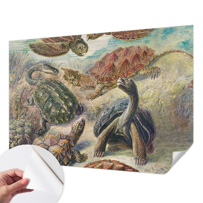 Self-adhesive wall mural with a turtle fauna motif