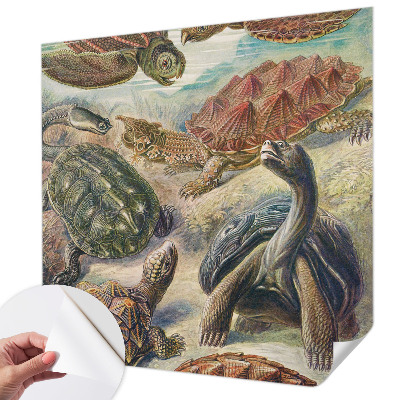 Self-adhesive wall mural with a turtle fauna motif