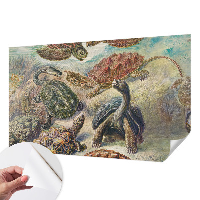 Self-adhesive wall mural with a turtle fauna motif