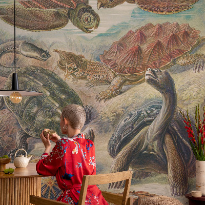 Self-adhesive wall mural with a turtle fauna motif
