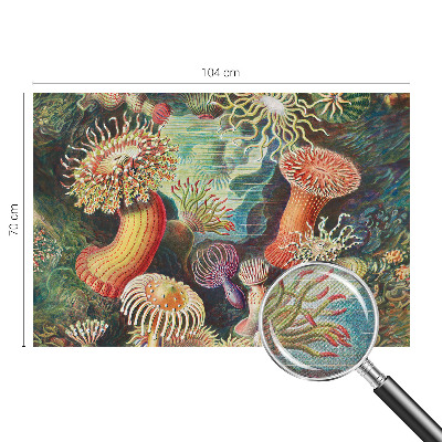 Self-adhesive photo wallpaper with a pattern of fancy anemones