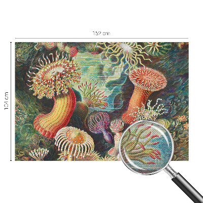 Self-adhesive photo wallpaper with a pattern of fancy anemones