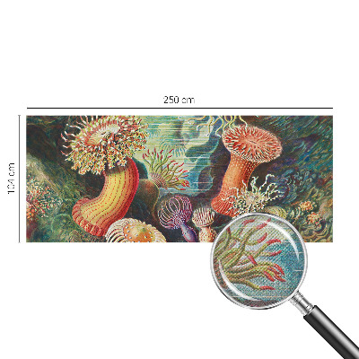 Self-adhesive photo wallpaper Fancy anemones