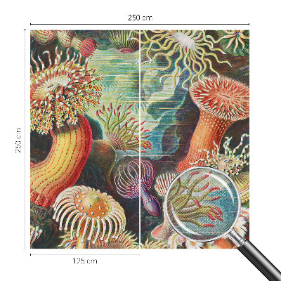 Self-adhesive photo wallpaper with a pattern of fancy anemones