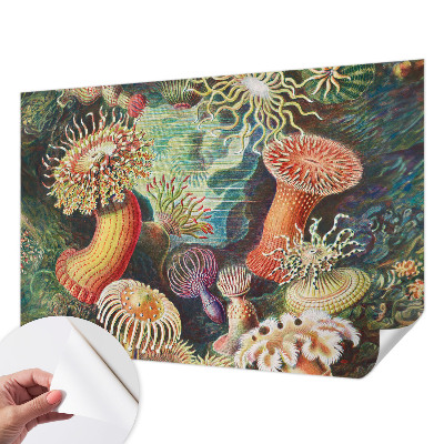 Self-adhesive photo wallpaper with a pattern of fancy anemones