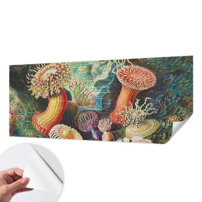 Self-adhesive photo wallpaper with a pattern of fancy anemones