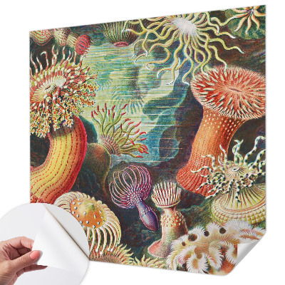 Self-adhesive photo wallpaper with a pattern of fancy anemones