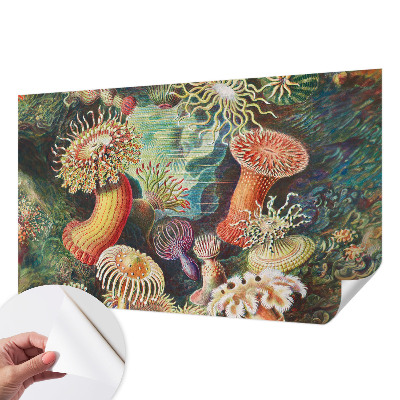 Self-adhesive photo wallpaper with a pattern of fancy anemones