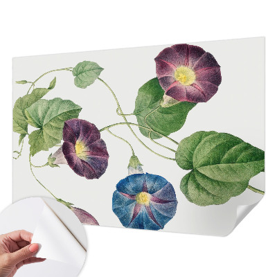 Peel and stick wallpaper mural with a floristic elegance design