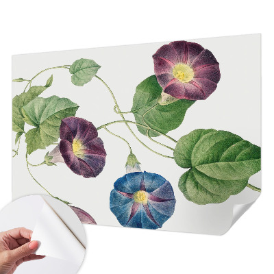 Peel and stick wallpaper mural with a floristic elegance design