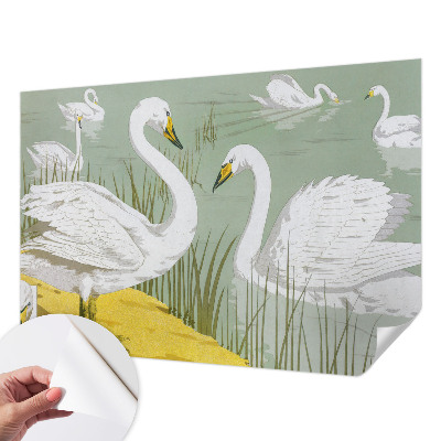 Stick-on wall mural Swan Lake